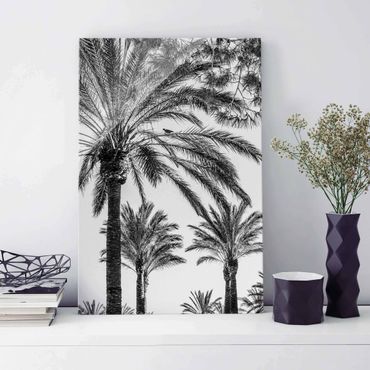 Glasbild - Palmen im Sonnenuntergang Schwarz-Weiß - Hochformat 3:2