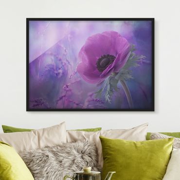 Bild mit Rahmen - Anemonenblüte in Violett - Querformat 3:4