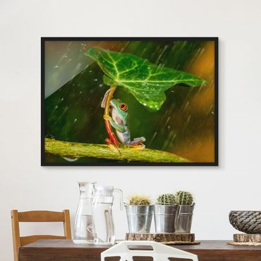 Bild mit Rahmen - Ein Frosch im Regen - Querformat 3:4