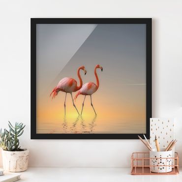 Bild mit Rahmen - Flamingo Love - Quadrat 1:1