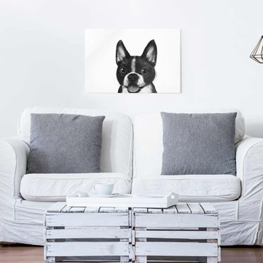 Glasbild - Illustration Hund Boston Schwarz Weiß Malerei - Querformat 2:3