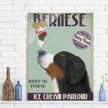 Glasbild - Berner Sennenhund mit Eis - Hochformat 4:3