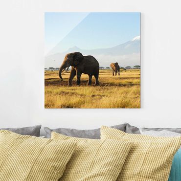 Glasbild Afrika - Elefanten vor dem Kilimanjaro in Kenya - Quadrat 1:1