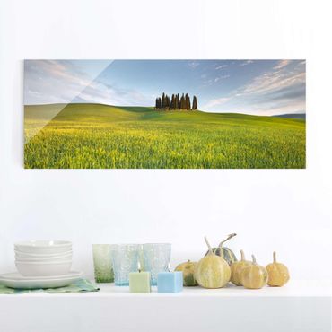 Glasbild - Grünes Feld in Toskana - Panorama Quer