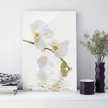 Glasbild - White Orchid Waters - Hoch 2:3