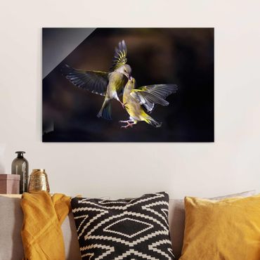 Glasbild - Küssende Kolibris - Querformat