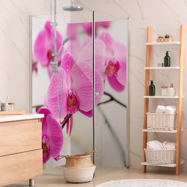 Duschrückwand - Nahaufnahme Orchidee