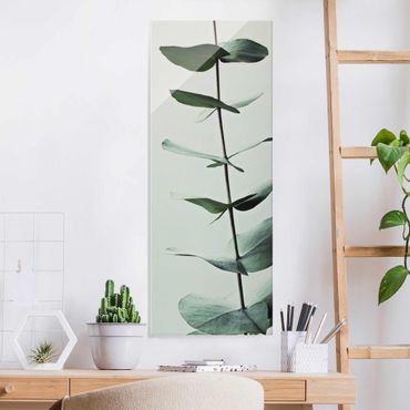 Glasbild - Symmetrischer Eukalyptuszweig - Hochformat
