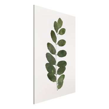 Aluminium Print - Grafische Pflanzenwelt - Dunkelgrün - Hochformat 3:2