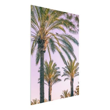 Forex Fine Art Print - Palmen im Sonnenuntergang - Hochformat 4:3