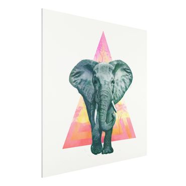 Forex Fine Art Print - Illustration Elefant vor Dreieck Malerei - Quadrat 1:1