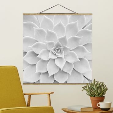 Stoffbild mit Posterleisten - Kaktus Sukkulente - Quadrat 1:1
