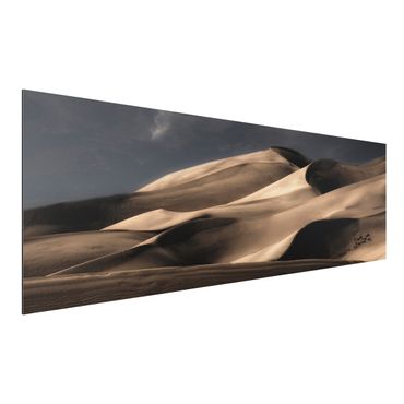 Alu-Dibond Bild - Colorado Dünen
