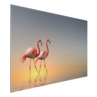 Alu-Dibond Bild - Flamingo Love