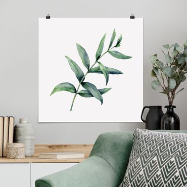 Poster - Aquarell Eucalyptus I - Quadrat 1:1