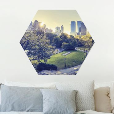 Hexagon Bild Alu-Dibond - Peaceful Central Park