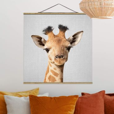 Stoffbild mit Posterleisten - Baby Giraffe Gandalf - Quadrat 1:1