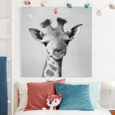 Leinwandbild - Baby Giraffe Gandalf Schwarz Weiß - Quadrat 1:1