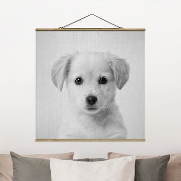 Stoffbild mit Posterleisten - Baby Golden Retriever Gizmo Schwarz Weiß - Quadrat 1:1