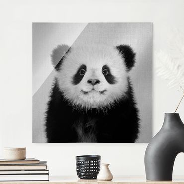 Glasbild - Baby Panda Prian Schwarz Weiß - Quadrat