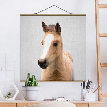 Stoffbild mit Posterleisten - Baby Pferd Philipp - Quadrat 1:1