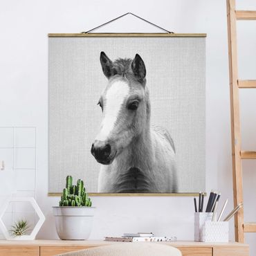 Stoffbild mit Posterleisten - Baby Pferd Philipp Schwarz Weiß - Quadrat 1:1