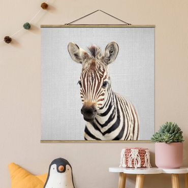 Stoffbild mit Posterleisten - Baby Zebra Zoey - Quadrat 1:1