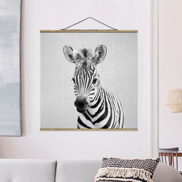 Stoffbild mit Posterleisten - Baby Zebra Zoey Schwarz Weiß - Quadrat 1:1