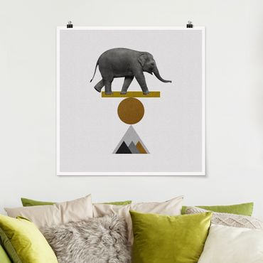 Poster - Balancekunst Elefant - Quadrat 1:1