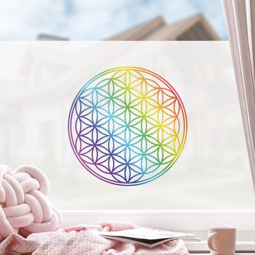 Fensterfolie - Sichtschutz - Blume des Lebens Regenbogenfarbe - Fensterbilder