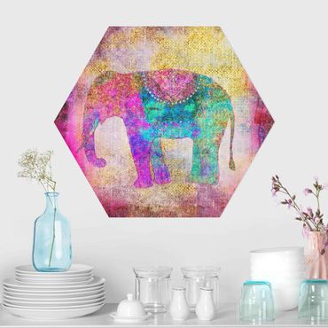 Hexagon-Forexbild - Bunte Collage - Indischer Elefant
