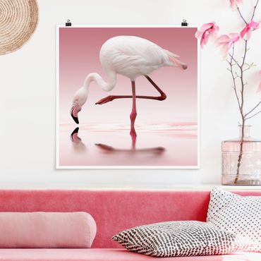 Poster - Flamingo Dance - Quadrat 1:1