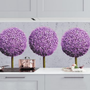 Küchenrückwand - Allium Kugel-Blüten II