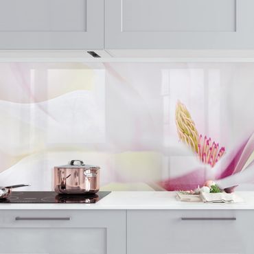 Küchenrückwand - Zarte Magnolienblüte