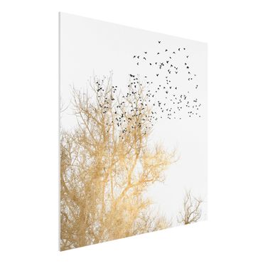 Forex Fine Art Print - Vogelschwarm vor goldenem Baum - Quadrat 1:1