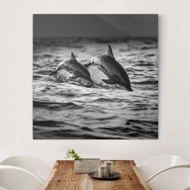 Leinwandbild - Zwei springende Delfine - Quadrat 1:1
