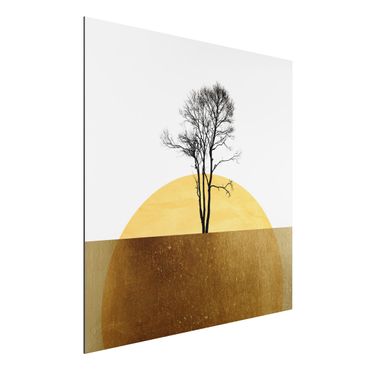 Aluminium Print - Goldene Sonne mit Baum - Quadrat 1:1