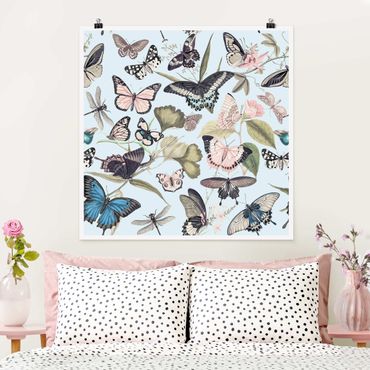 Poster - Vintage Collage - Schmetterlinge und Libellen - Quadrat 1:1