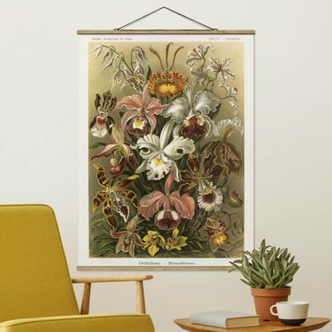 Stoffbild mit Posterleisten - Vintage Lehrtafel Orchidee - Hochformat 3:4