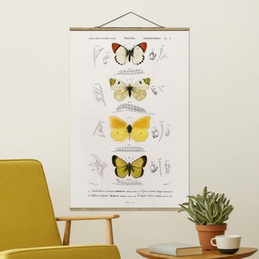 Stoffbild mit Posterleisten - Vintage Lehrtafel Schmetterlinge II - Hochformat 2:3