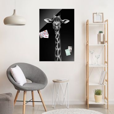 Glasbild - Dunkles Giraffen Portrait - Hochformat 3:2