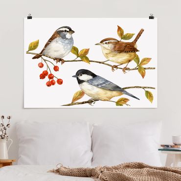 Poster - Vögel und Beeren - Meisen - Querformat 2:3