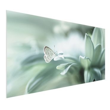 Forex Fine Art Print - Schmetterling und Tautropfen in Pastellgrün - Querformat 1:2