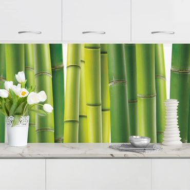 Küchenrückwand - Bambuspflanzen II
