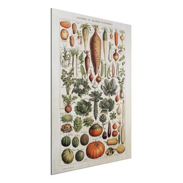 Aluminium Print gebürstet - Vintage Lehrtafel Gemüse - Hochformat 4:3
