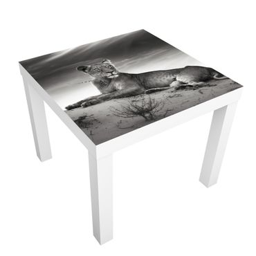 Möbelfolie für IKEA Lack - Klebefolie Resting Lion