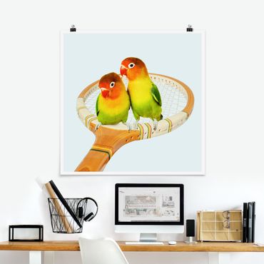 Poster - Jonas Loose - Tennis mit Vögeln - Quadrat 1:1