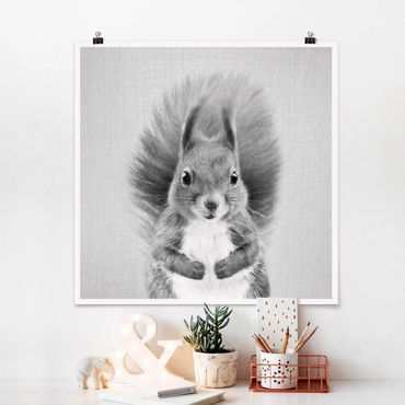 Poster - Eichhörnchen Elisabeth Schwarz Weiß - Quadrat 1:1