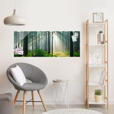 Glasbild - Enlightened Forest - Panorama Quer