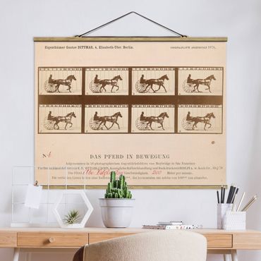 Stoffbild mit Posterleisten - Eadweard Muybridge - Das Pferd in Bewegung - Querformat 4:3